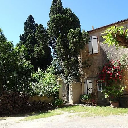 Sigean - Maison Domaine Viticole, 6 Km De La Mer Zewnętrze zdjęcie
