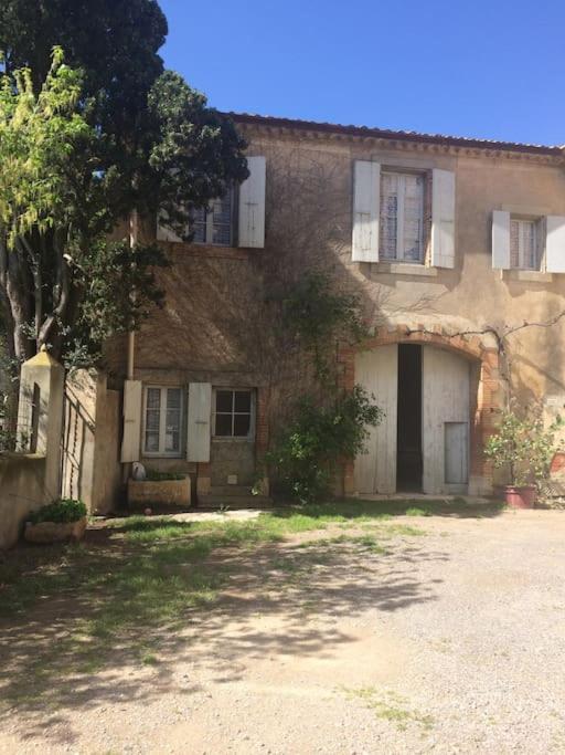 Sigean - Maison Domaine Viticole, 6 Km De La Mer Zewnętrze zdjęcie