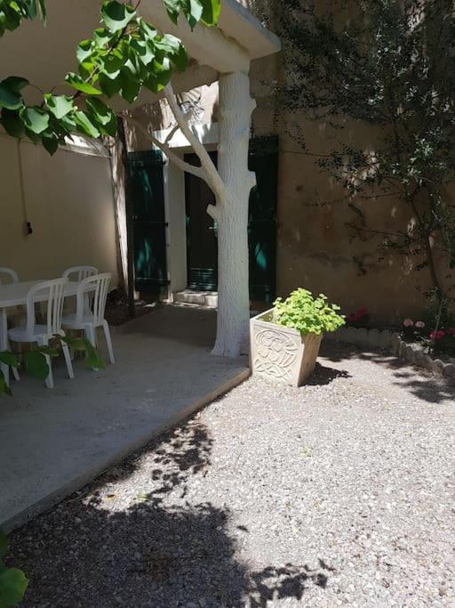 Sigean - Maison Domaine Viticole, 6 Km De La Mer Zewnętrze zdjęcie