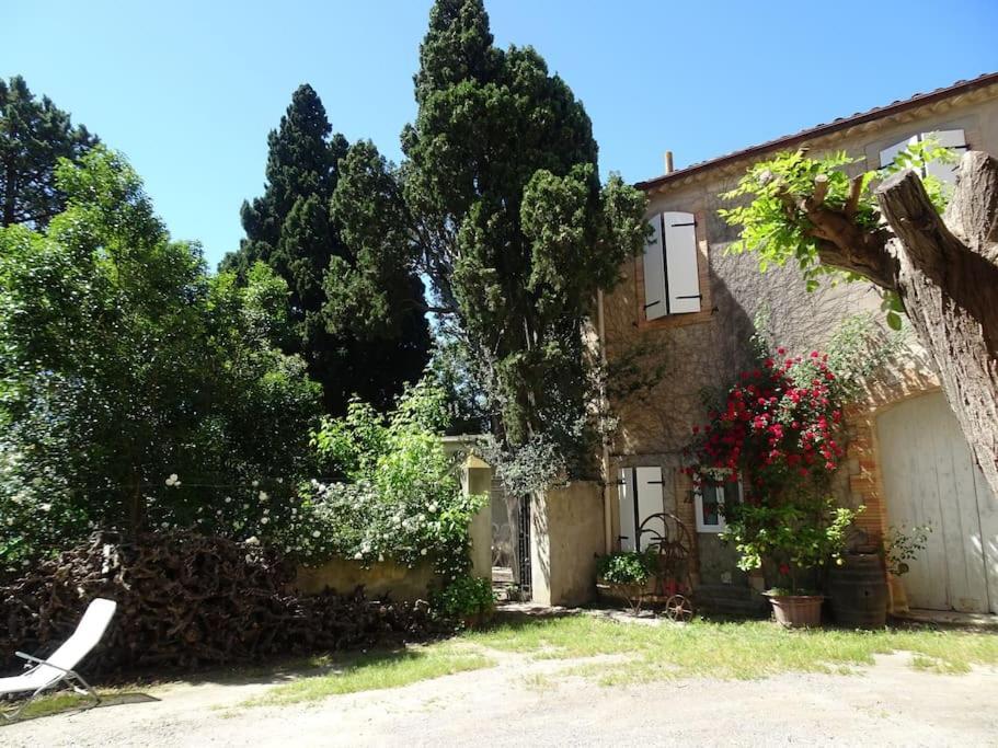 Sigean - Maison Domaine Viticole, 6 Km De La Mer Zewnętrze zdjęcie